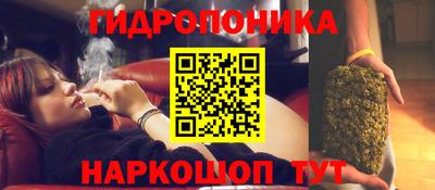 кокс Краснодар